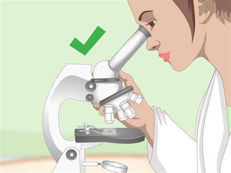 how to use a light microscope.